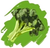 Brocolli