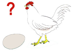 chicken egg