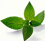 Herbal Remedies