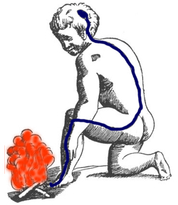 Proprioceptions saves us from harm
