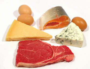 Protein