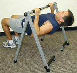 pull-ups on a Workhorse